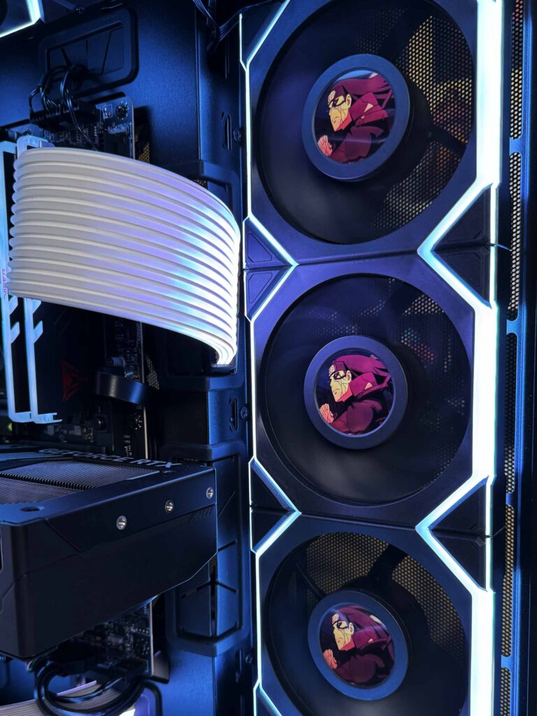 AntecC8_CurveWood_Antho_7
